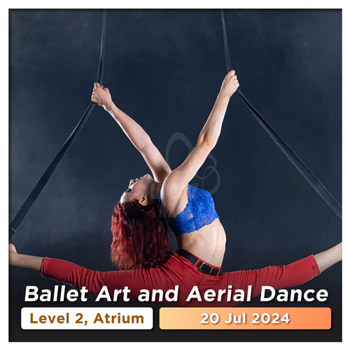 Ballet Art and Aerial Dance